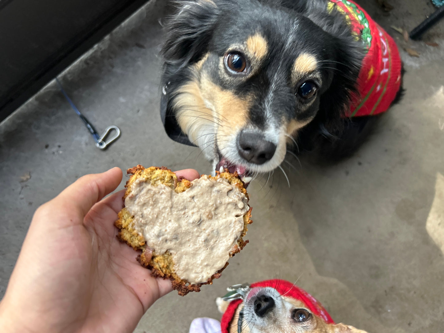 Apples N Oats with Frosting